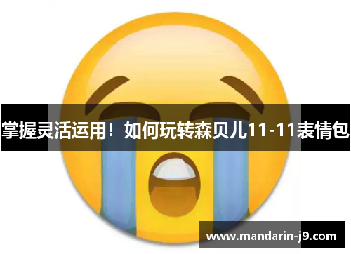 掌握灵活运用!如何玩转森贝儿11-11表情包 掌握灵活运用!如何玩转森贝儿11-11表情包