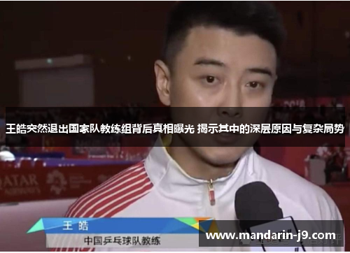 王皓突然退出国家队教练组背后真相曝光 揭示其中的深层原因与复杂局势