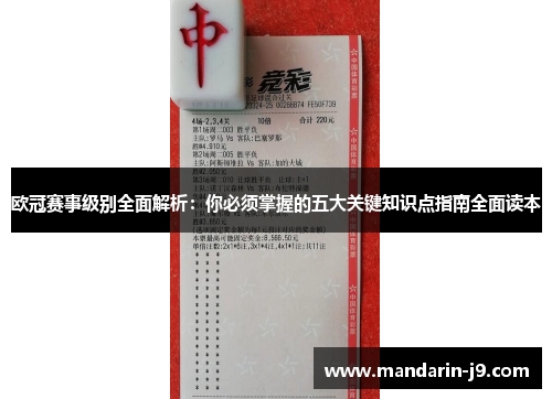 欧冠赛事级别全面解析：你必须掌握的五大关键知识点指南全面读本