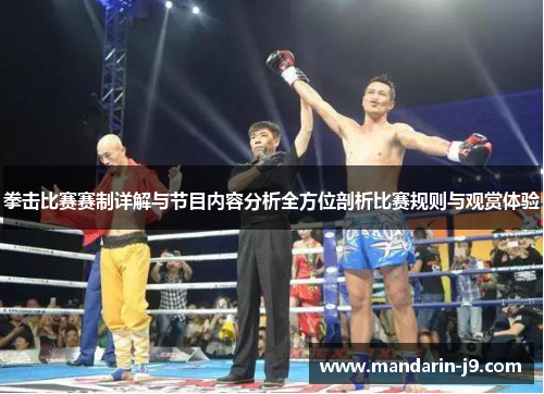 拳击比赛赛制详解与节目内容分析全方位剖析比赛规则与观赏体验