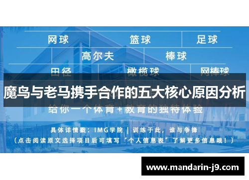 魔鸟与老马携手合作的五大核心原因分析