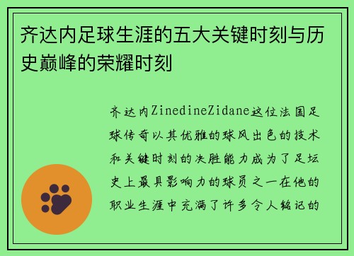 齐达内足球生涯的五大关键时刻与历史巅峰的荣耀时刻